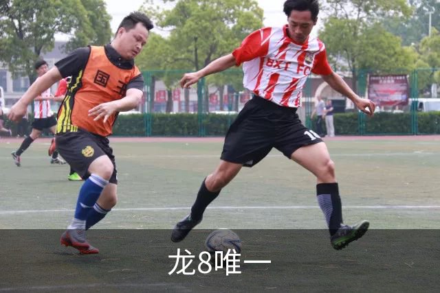 龙8唯一企业介绍
